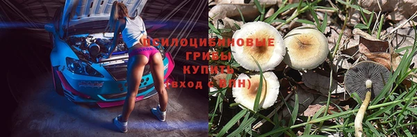 крисы Куйбышев